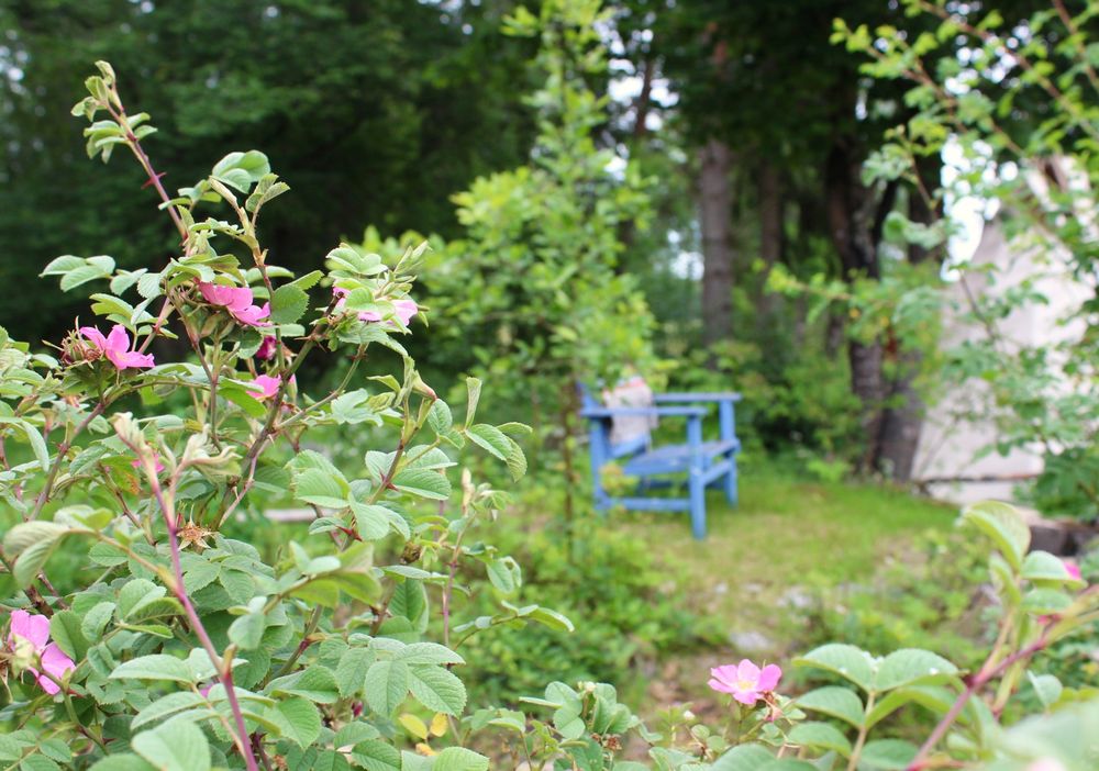 Storstugan, trädgård